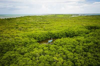 Mangrove fishing at the Palometa Club