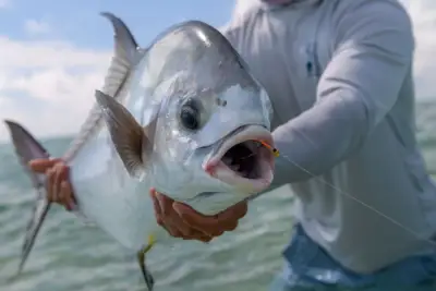 Palometa means Permit in Spanish!