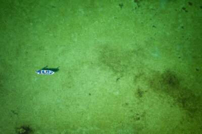 Fishing the flats around the Palometa Club