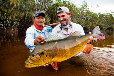 Trophy Peacock Bass from the Rio Marie